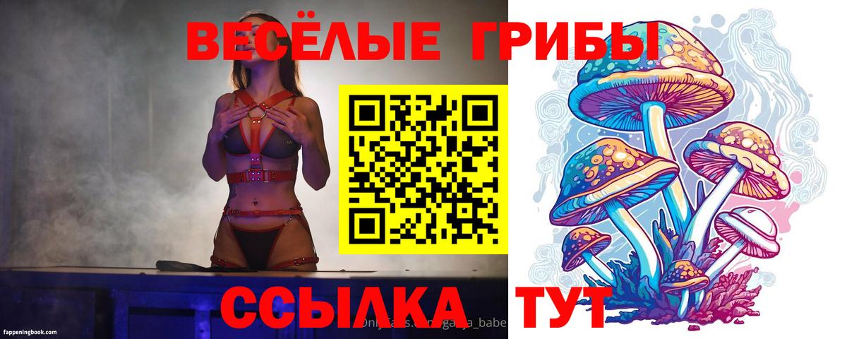 Псилоцибиновые грибы Psilocybine cubensis  Вход с VPN  где найти   Королёв 